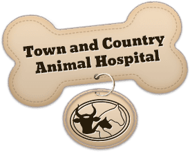 Town & Country Animal Hospital Home